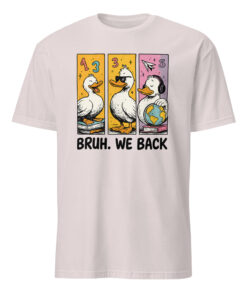 Bruh We Back Shirt, Silly Goose Back to School Tee | Cuccico