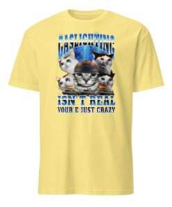 Gaslighting Isn't Real You're Just Crazy Shirt | Cat Meme | Bootleg Tummy Ache