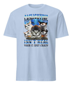 Gaslighting Isn't Real You're Just Crazy Shirt | Cat Meme | Bootleg Tummy Ache