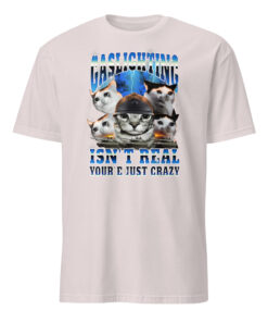 Gaslighting Isn't Real You're Just Crazy Shirt | Cat Meme | Bootleg Tummy Ache