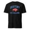 Vintage “Destiny Is Calling” Buffalo Football Fan Gift Tee – Let’s Go Buffalo