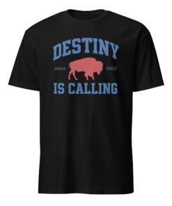 Vintage “Destiny Is Calling” Buffalo Football Fan Gift Tee – Let’s Go Buffalo
