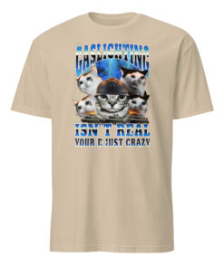 Gaslighting Isn't Real You're Just Crazy Shirt | Cat Meme | Bootleg Tummy Ache