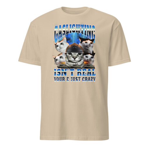 Gaslighting Isn't Real You're Just Crazy Shirt | Cat Meme | Bootleg Tummy Ache - Image 4