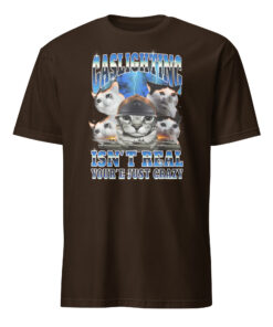 Gaslighting Isn't Real You're Just Crazy Shirt | Cat Meme | Bootleg Tummy Ache