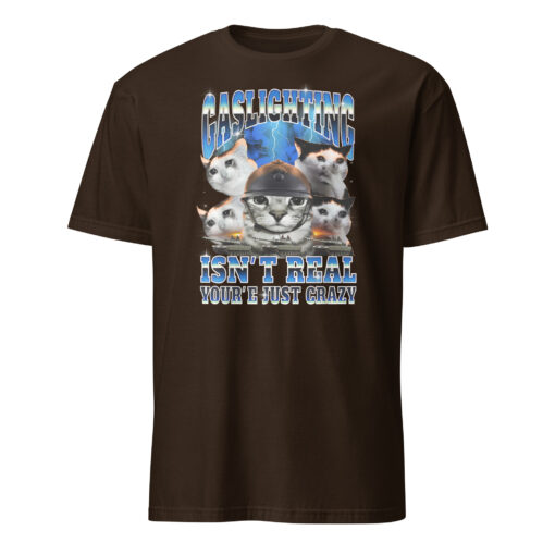 Gaslighting Isn't Real You're Just Crazy Shirt | Cat Meme | Bootleg Tummy Ache - Image 3