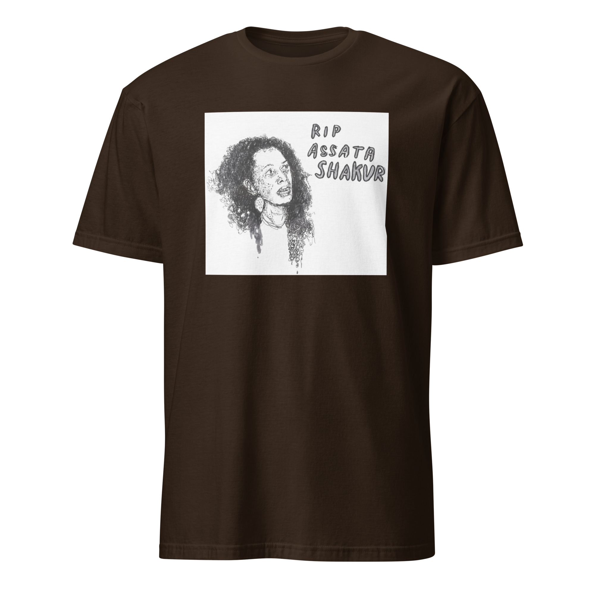 Assata Shakur shirt 3 Dark chocolate Assata Shakur shirt with bold activist design, Pan-African colors, and slogans symbolizing Black liberation and resistance.