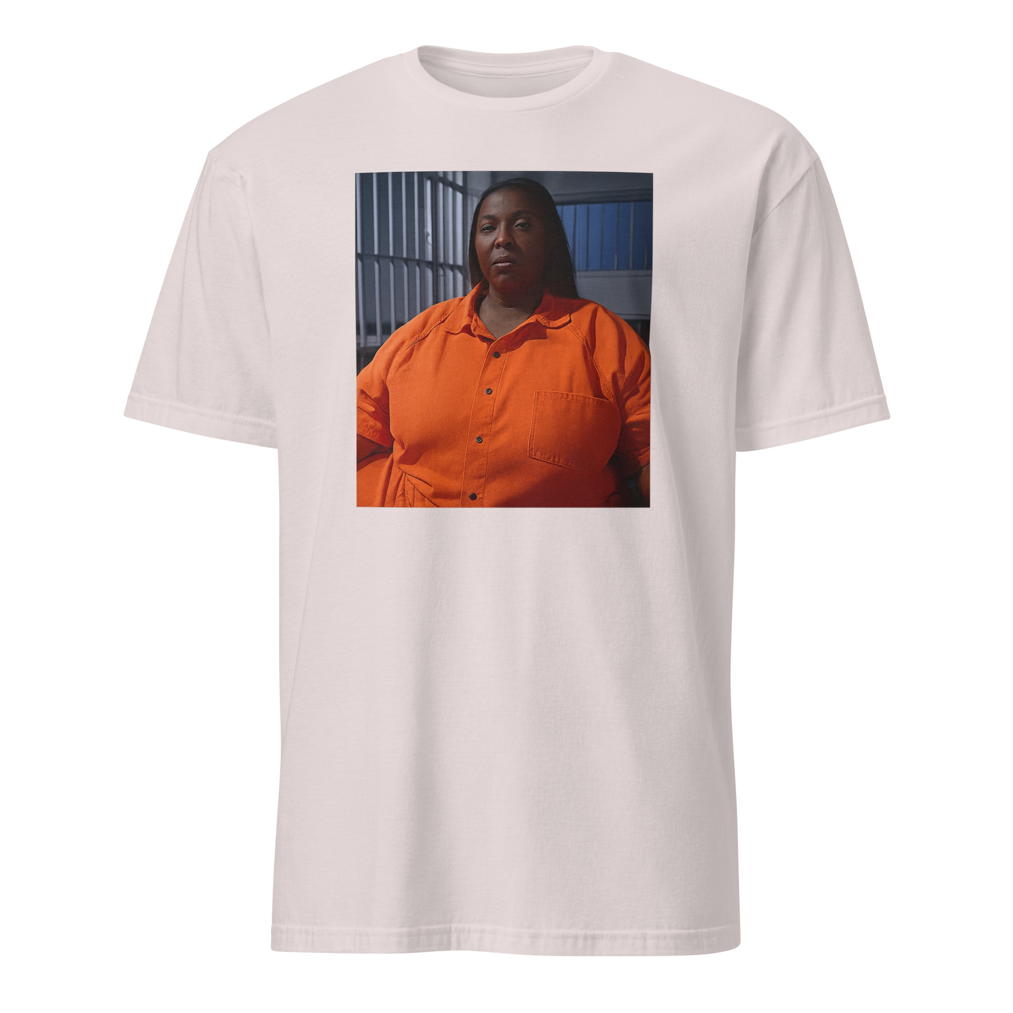 Tish James Mugshot Shirt 8 Ice Grey Tish James Mugshot Shirt parody design – political satire cotton tee
