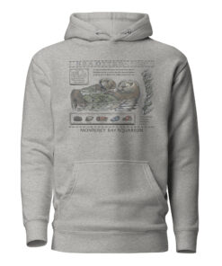 The Monterey Bay Aquarium Otter Taylor Swift Hoodie carbon grey — vintage eco-style with a modern neutral tone