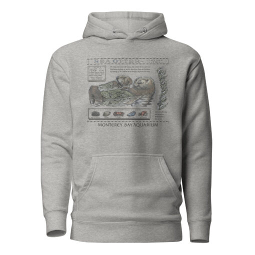 The Monterey Bay Aquarium Otter Taylor Swift Hoodie carbon grey — vintage eco-style with a modern neutral tone