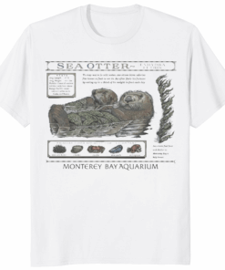The Monterey Bay Aquarium Otter Taylor Swift Shirt featuring viral sea otter design