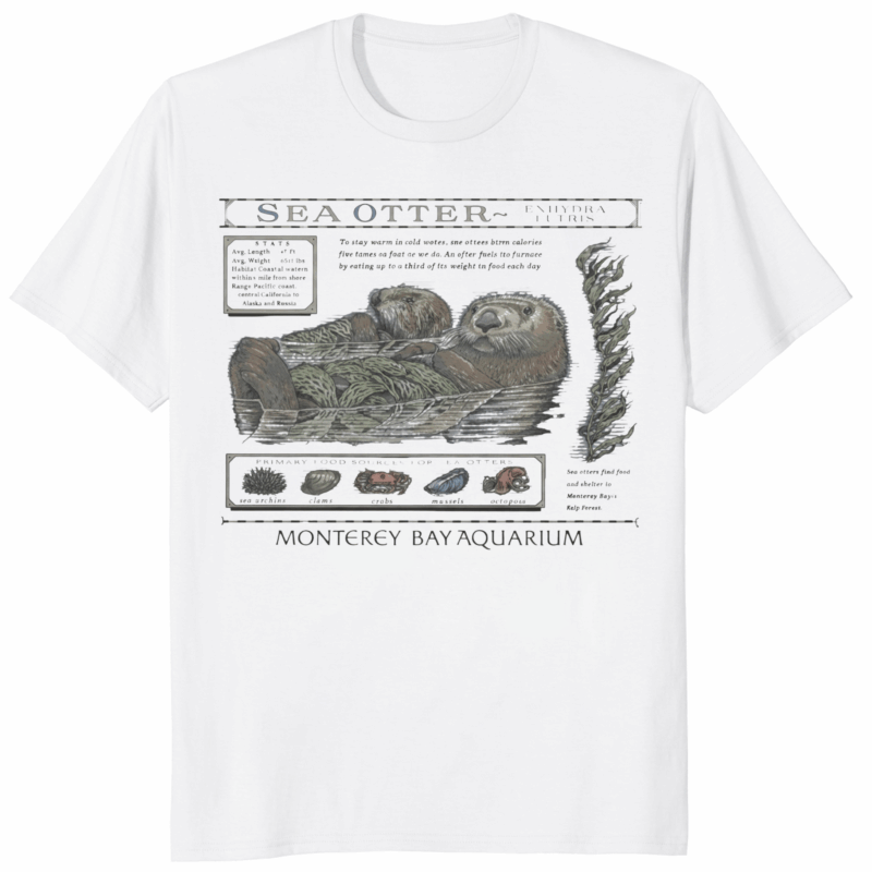 The Monterey Bay Aquarium Otter Taylor Swift Shirt 14 The Monterey Bay Aquarium Otter Taylor Swift Shirt featuring viral sea otter design
