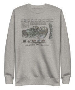 carbon grey Monterey Bay Aquarium Otter Taylor Swift Sweatshirt
