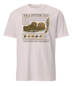 The Monterey Bay Aquarium Otter Taylor Swift Shirt 12 The Monterey Bay Aquarium Otter Taylor Swift Shirt