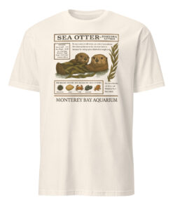 The Monterey Bay Aquarium Otter Taylor Swift Shirt 13 The Monterey Bay Aquarium Otter Taylor Swift Shirt