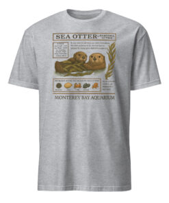 The Monterey Bay Aquarium Otter Taylor Swift Shirt 11 The Monterey Bay Aquarium Otter Taylor Swift Shirt