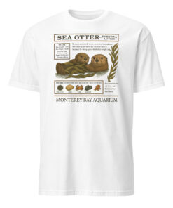 The Monterey Bay Aquarium Otter Taylor Swift Shirt 8 The Monterey Bay Aquarium Otter Taylor Swift Shirt